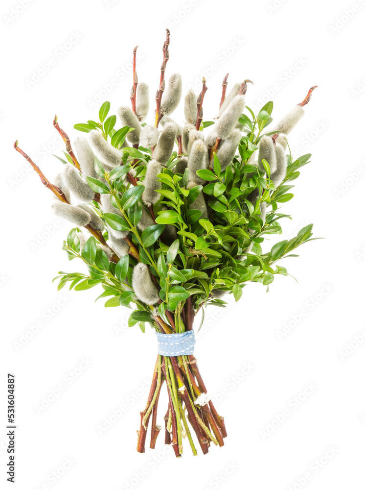 Traditional pussy willow bunch for Palm Sunday