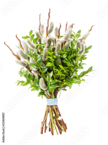 Obraz na płótnie Traditional pussy willow bunch for Palm Sunday w salonie