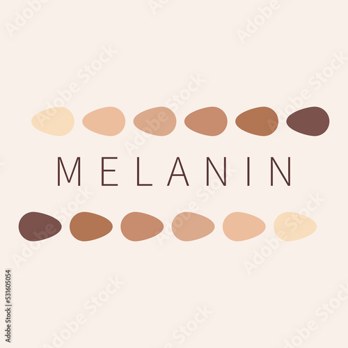 Melanin color palette scheme from light to dark brown. Skin tanning process diagram. Skin complexion diversity. Fitzpatrick skin type classification scale. Beauty concept design. Vector illustration