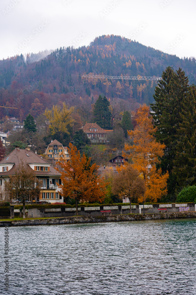 Schadau park and castle , beautiful scenic area and Schloss Schadau near lake Aare during autumn , winter cloudy day : Thun , Switzerland : December 2 , 2019