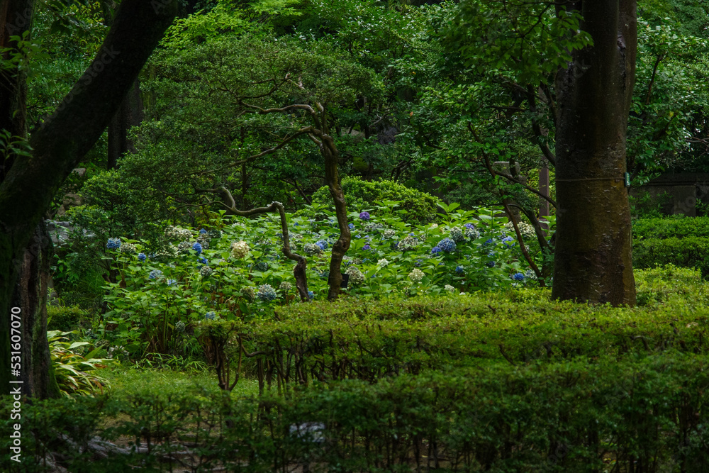 Obraz premium 東京港区赤坂7丁目の公園の風景
