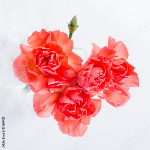 bunch of red carnations shaped as a heart isolated on white