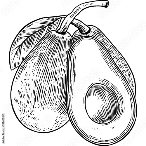 Hand drawn Avocado