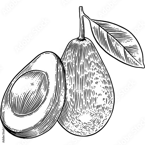 Hand drawn Avocado