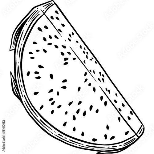 Hand drawn Dragon Fruit