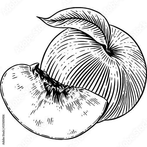 Hand drawn Peach Fruit