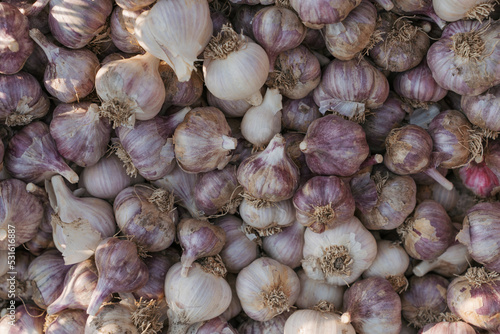 Close-up of garlic and onions photo