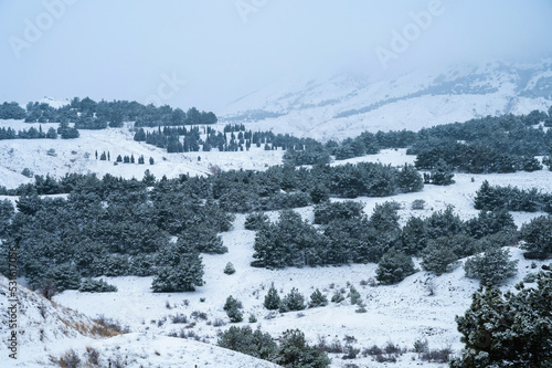 Mountains in the snow, winter landscape