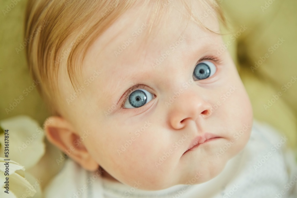 Little baby girl, close-up portrait. The concept of motherhood and childhood. Little baby girl, close-up portrait. The concept of motherhood and childhood.