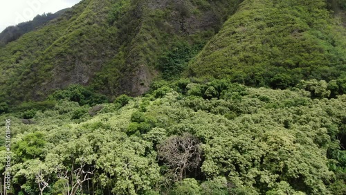 Tropical forest canopies on Maui's windward side. Aerial ascending shot rising above the trees of Iao Valley State Park. photo
