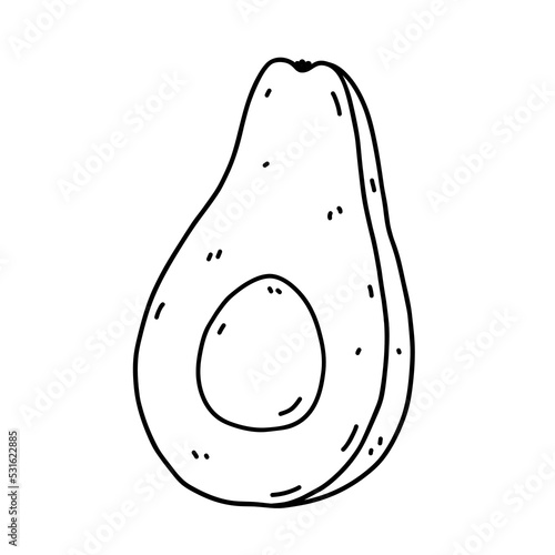 Half an avocado isolated on white background. Organic healthy food. Vector hand-drawn illustration in doodle style. Perfect for cards, logo, decorations, recipes, menu, various designs.