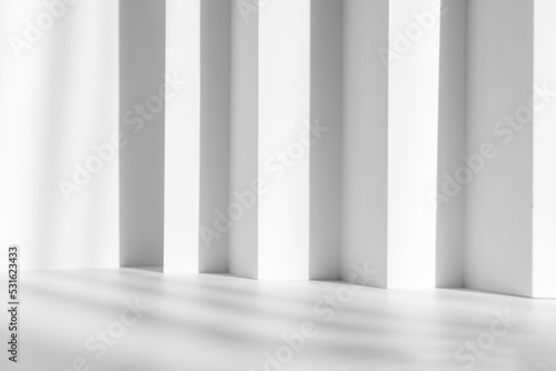 Abstract white studio background for product presentation. Empty gray room with shadows of window. Display product with blurred backdrop.