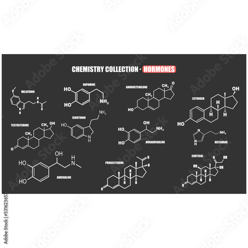 Chemical molecular formula of human hormones. Scientific and educational collection