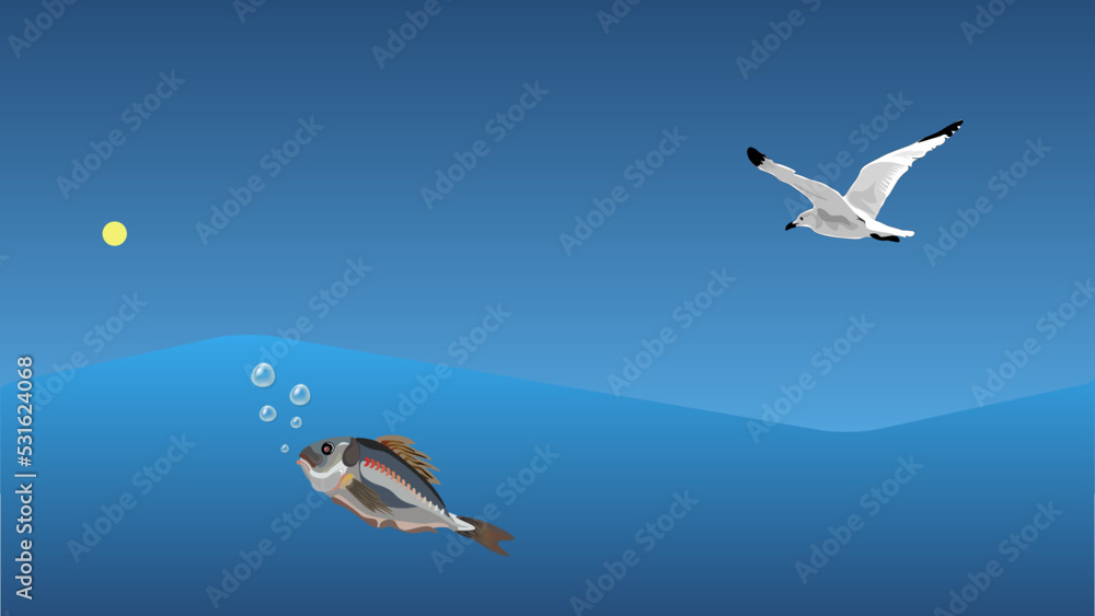 Fototapeta premium seagull in flight fish in water