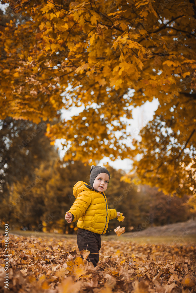 Little boy in yellow  jacket playing with autumn fallen leaves in park. Child laughing throwing up orange maple leaves. Lay on the leaves. Top view