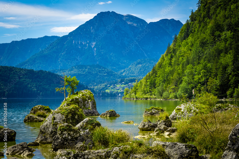 View of a tree growing on a boulder in the alpine Altausseer See (Lake Aussee) in Ausseer Land, Styria, Austria, with Altaussee in the background