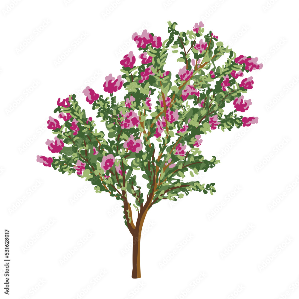 blooming tree, blooming lilac bush isolated on white background. botanical illustration, vector