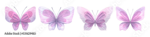 A set of pink, purple, delicate butterflies top view. Watercolor illustration. For the design and composition of postcards., invitations to weddings and romantic parties, postcards, posters, prints. © NATASHA-CHU