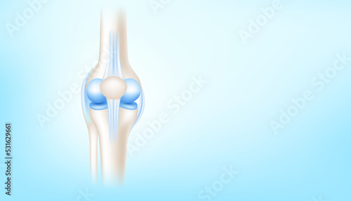 Knee joint with healthy cartilage side on blue background with copy space for text. ฺBone human skeleton anatomy of the body. Medical health care science concept. Realistic 3D Vector illustration.