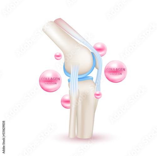 Skeleton x ray scan healthy joint bone anatomy. Vitamin and Collagen help heal arthritis knee. Medical or healthcare concept. Isolated on white background realistic 3d vector.