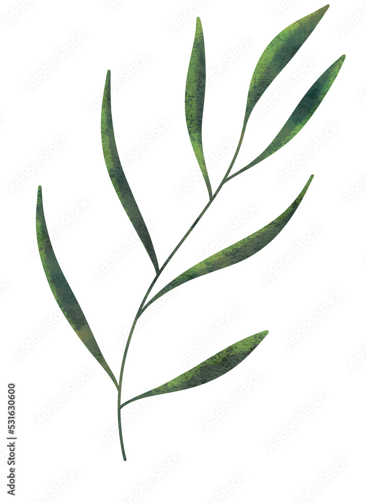 Hand drawn green branch on a white background. Hand drawn green branch on a white background.