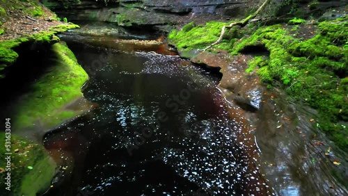 The Gelt River flowing through the forest near Brampton in Cumbria in the North West of England.