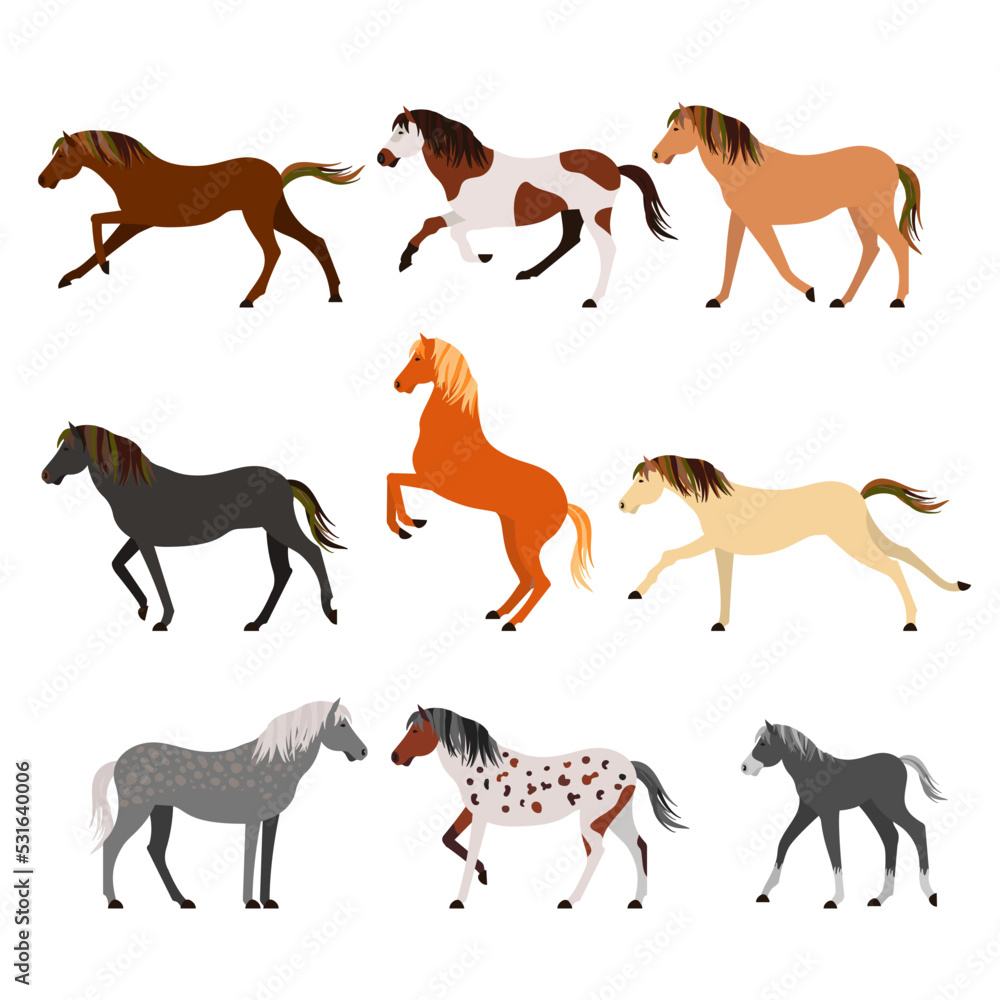 Horse breeds color flat icons set. Vector Illustration.