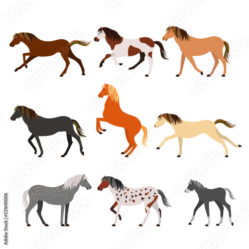 Fototapeta Naklejka Na Ścianę i Meble -  Horse breeds color flat icons set. Vector Illustration.