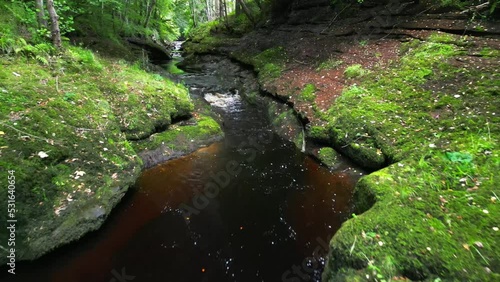 The Gelt River flowing through the forest near Brampton in Cumbria in the North West of England. photo
