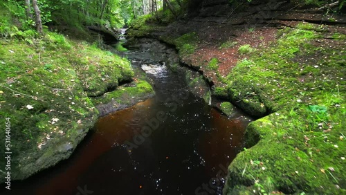 The Gelt River flowing through the forest near Brampton in Cumbria in the North West of England.