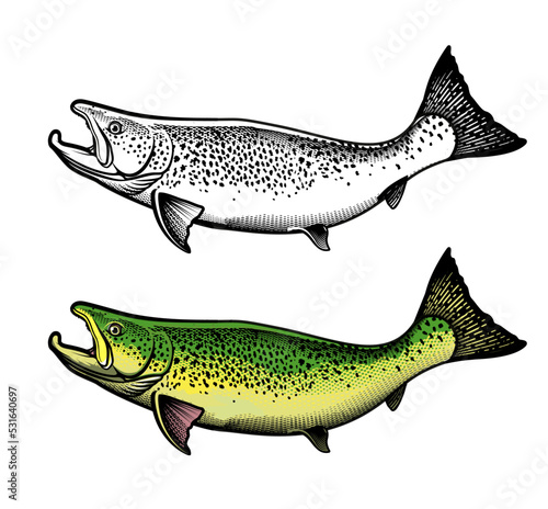 Fotobehang Salmon Fish - Vector Illustration. Logo Template.