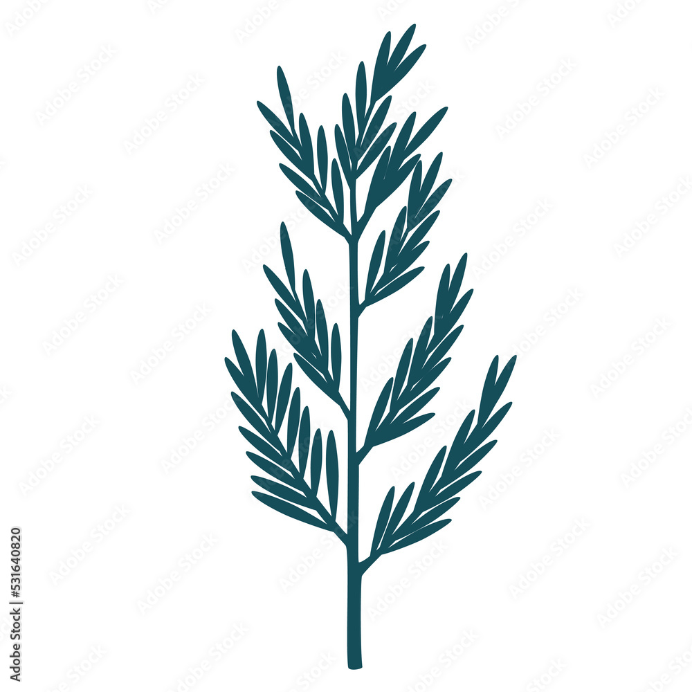 Christmas tree. Decor for New Year Christmas and holiday. Usable for banners, greeting cards, gifts and decoration etc. Hand drawn illustration isolated on the white background. Christmas tree. Decor for New Year Christmas and holiday. Usable for banners, greeting cards, gifts and decoration etc. Hand drawn illustration isolated on the white background.