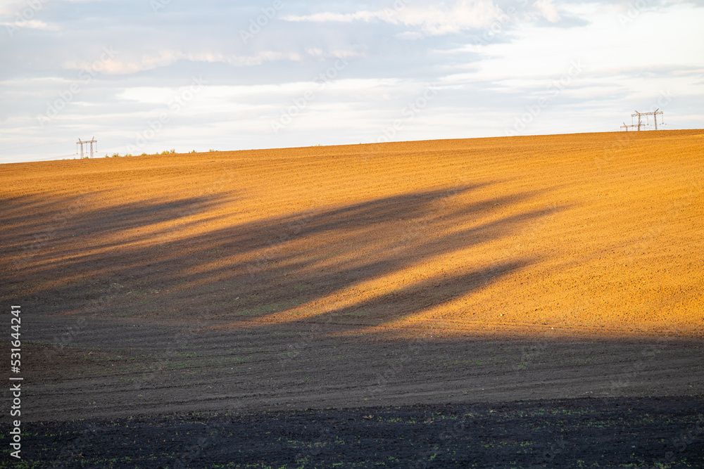 empty plowed field in the rays of the evening sun