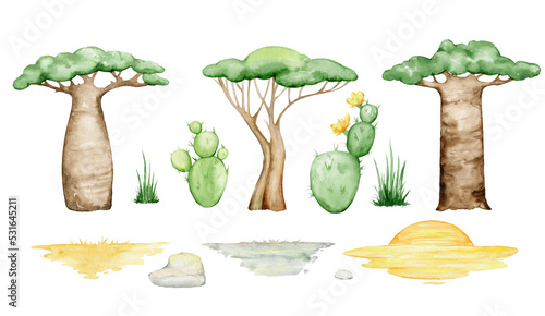 Fotografija Cacti, baobabs, tree, grass, background, stones