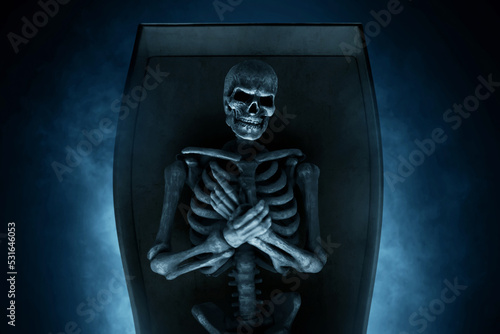 Fototapeta Naklejka Na Ścianę i Meble -  Human skeleton on dark background
