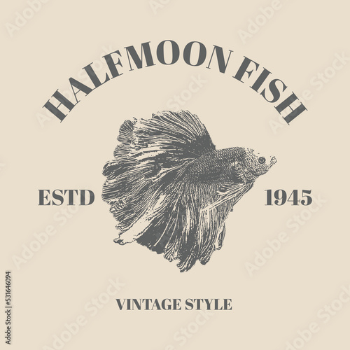 Logo Betta Fisj beautiful movement of halfmoon betta fish, The moving moment beautiful of Siamese Fighting fish, Betta splendens, Rhythmic of Betta fish isolated on cream background. template design