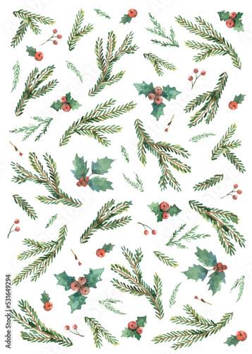 Watercolor vector Christmas card with fir branches and holly jolly.