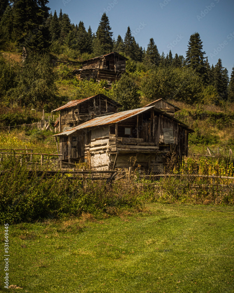 Obraz premium autumn on the plateau