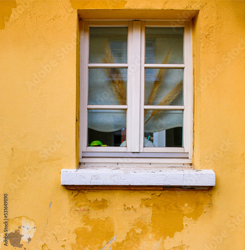 window