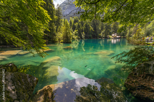 View of Blausee (The Blue lake) in Bernese Oberland, famous tourist destination in Switzerland © faber121