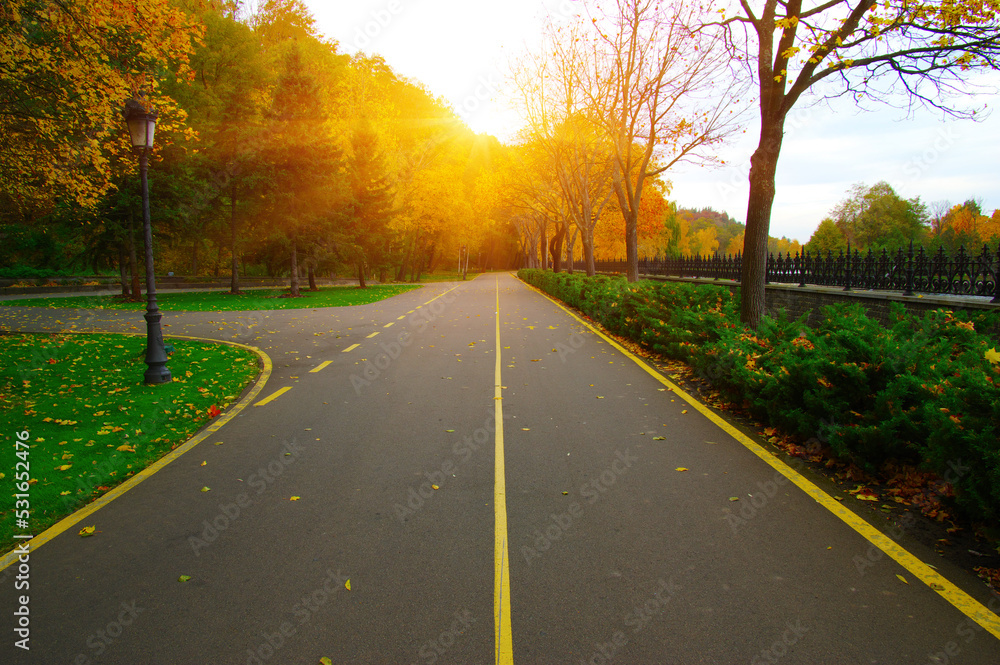 Autumn road in colorful park on sunset
