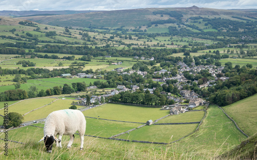 Sheep overlooking Castleton photo