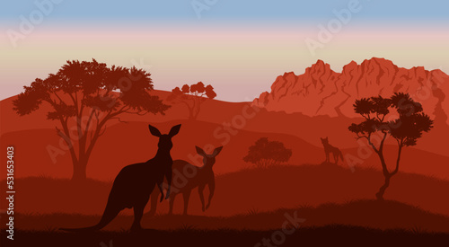 Australian landscape. Kangaroo silhouettes. Savannah scenery of Australia. Panoramic wildlife scene. Wilderness summer dusk