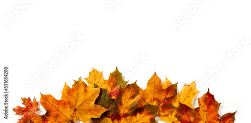Autumn leaves pile