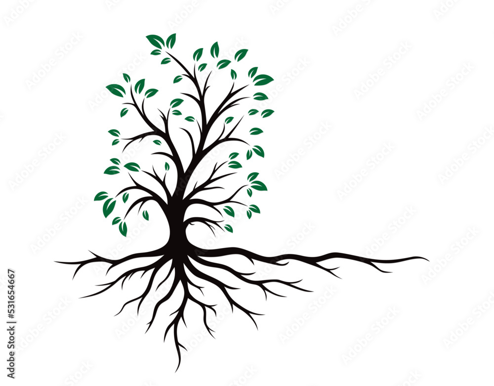 Logo of the green tree with roots.
Logo of the green tree with roots.