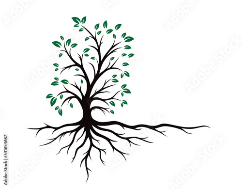 Logo of the green tree with roots.