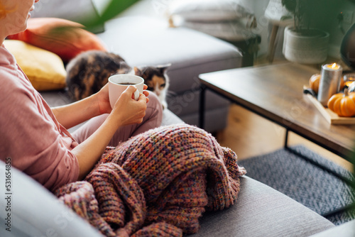 Canvastavla Close up woman in plaid holding cup of tea or coffee, watching movie, TV with multicolored cat on the sofa at home, decorated for fall holidays