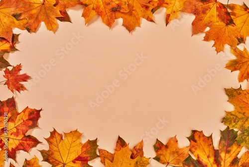 Dry autumn leaves frame