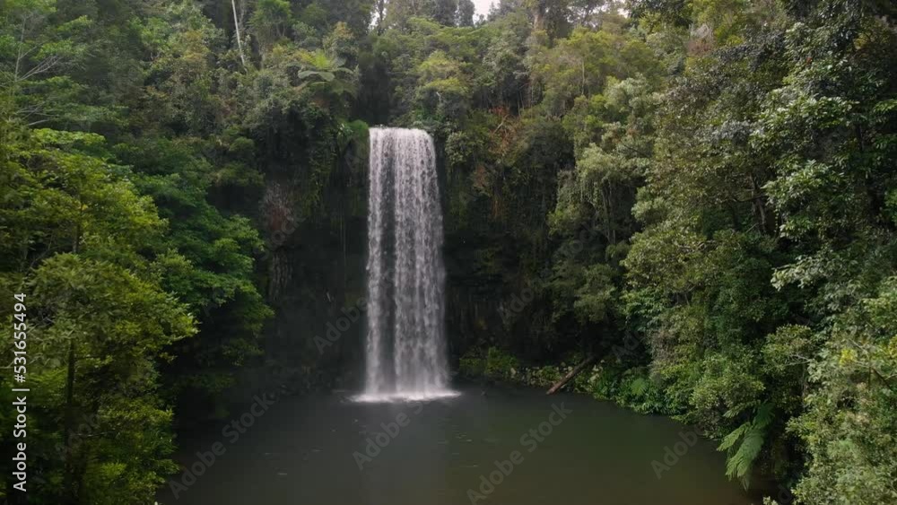 Drone tracks forwards over low Palm Tree into beautiful secluded waterfall in tropical rainforest. This aerial was captured in 4k in Millaa Millaa Falls in Cairns, Australia. Drone tracks forwards over low Palm Tree into beautiful secluded waterfall in tropical rainforest. This aerial was captured in 4k in Millaa Millaa Falls in Cairns, Australia.