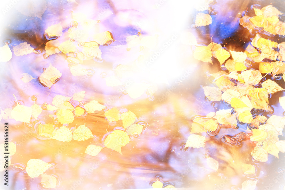 autumn background relax, wet yellow leaves wallpaper atmosphere route